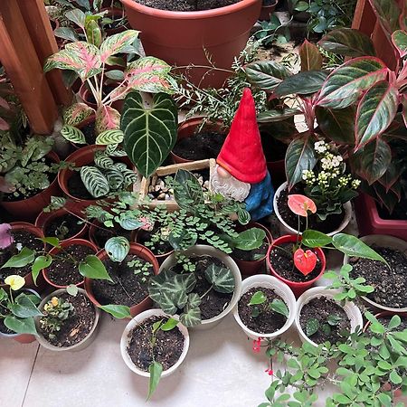 Casa Micaela Apartman Iquitos Kültér fotó