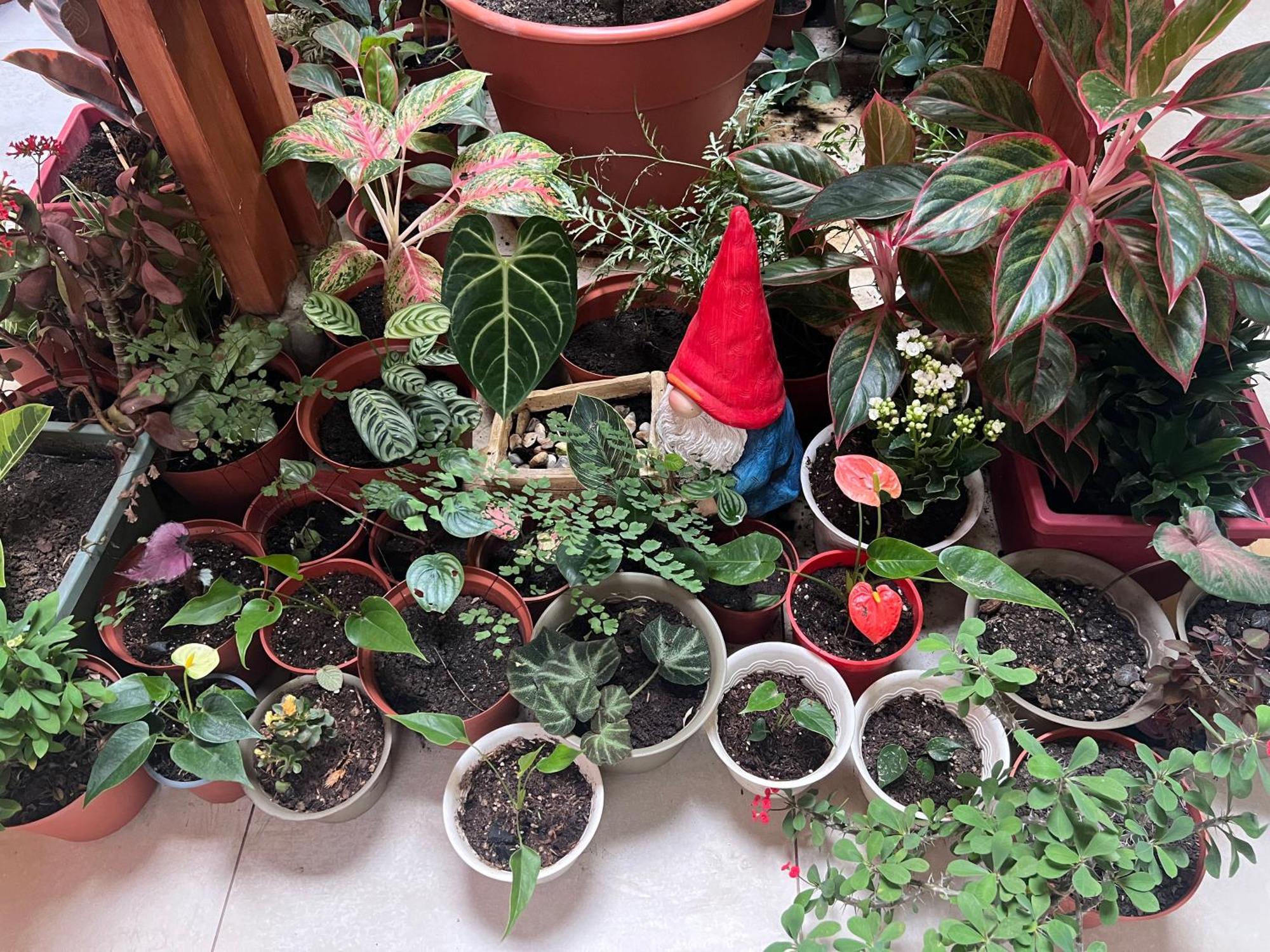 Casa Micaela Apartman Iquitos Kültér fotó